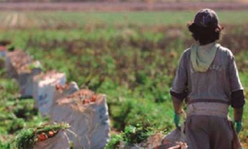 Reclamo por el alto porcentaje de trabajadores  informales en la zona rural