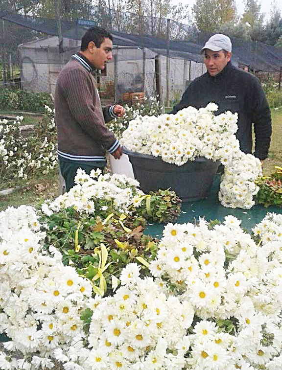 El 2,6% de los productores de flores de Mendoza se ubica en San Rafael