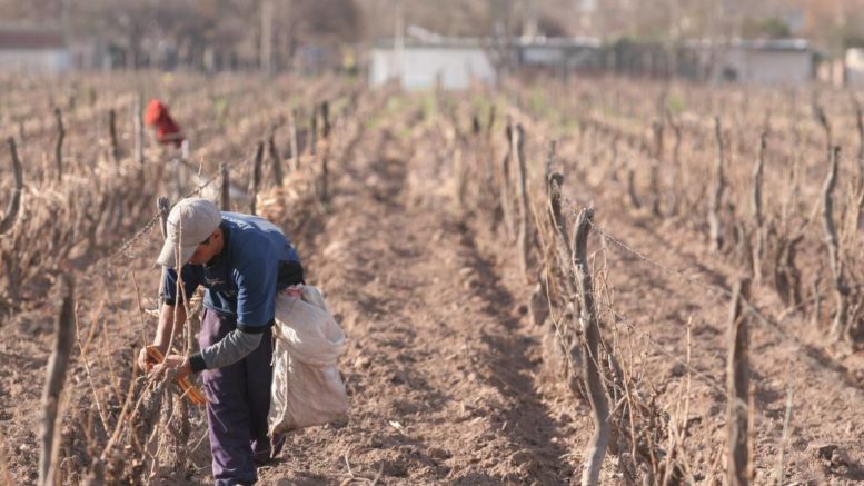 En San Rafael hay sitios donde el 100% de los  productores  no tienen los papeles  de las tierras que trabajan