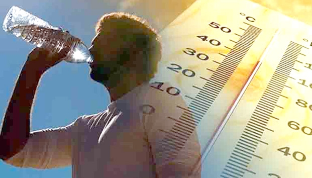 El calor se hará presente hoy en el sur provincial