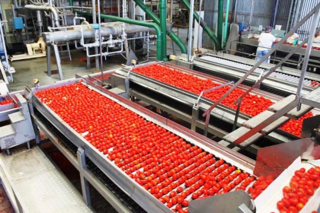 Las conserveras arrancan la temporada  con actividad reducida