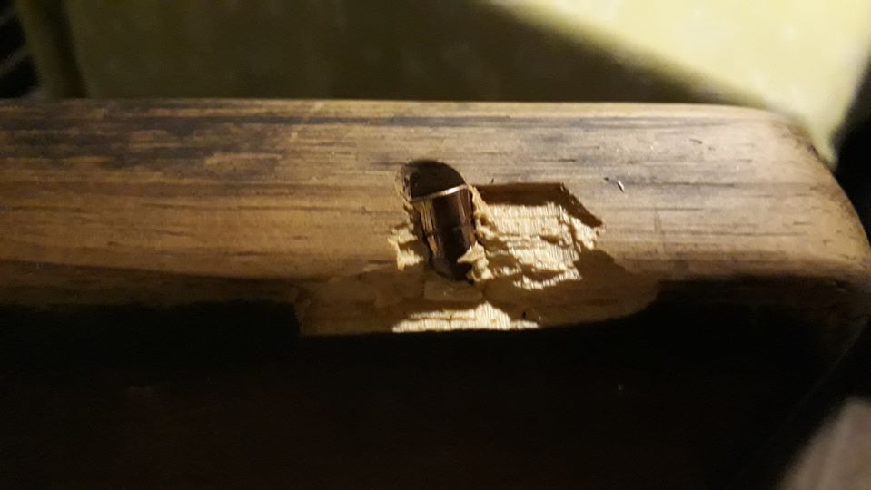 Godoy Cruz: Una bala perdida estuvo a centimetros de impactarlo mientras celebraba año nuevo