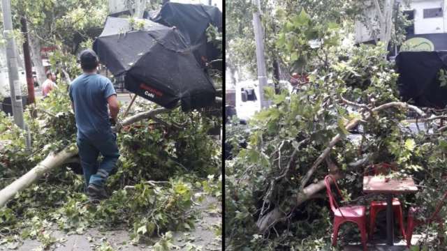 La aún asfixiante carga impositiva