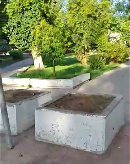 Increíble: rompieron los  canteros de la plaza de Cuadro  Nacional para “buscar lombrices”