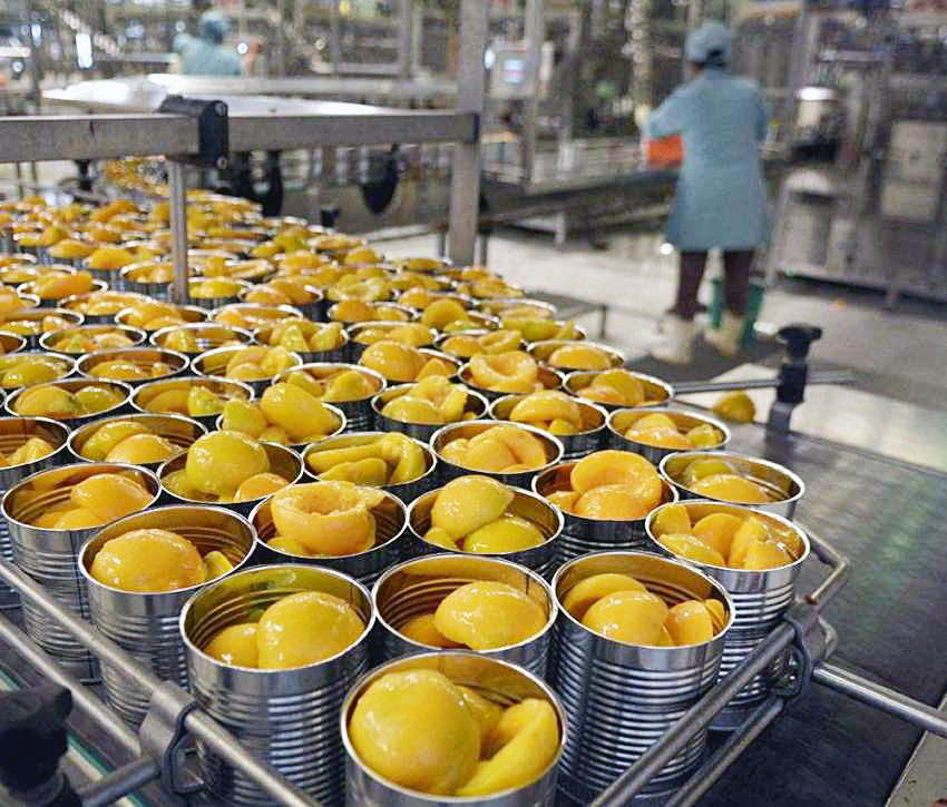 Mejora el precio  del durazno  para industria