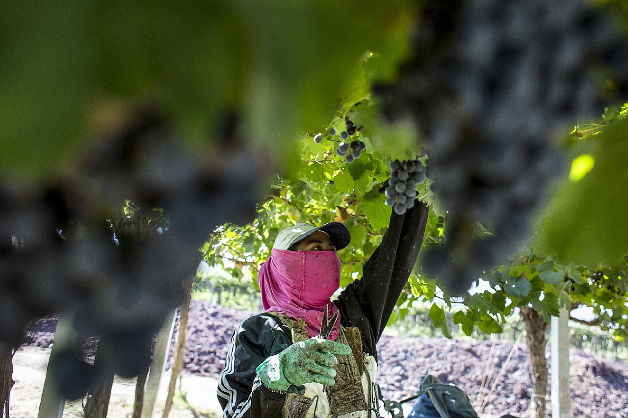 En EEUU aseguran que los bonos de Mendoza tientan aún más que el Malbec y el Aconcagua