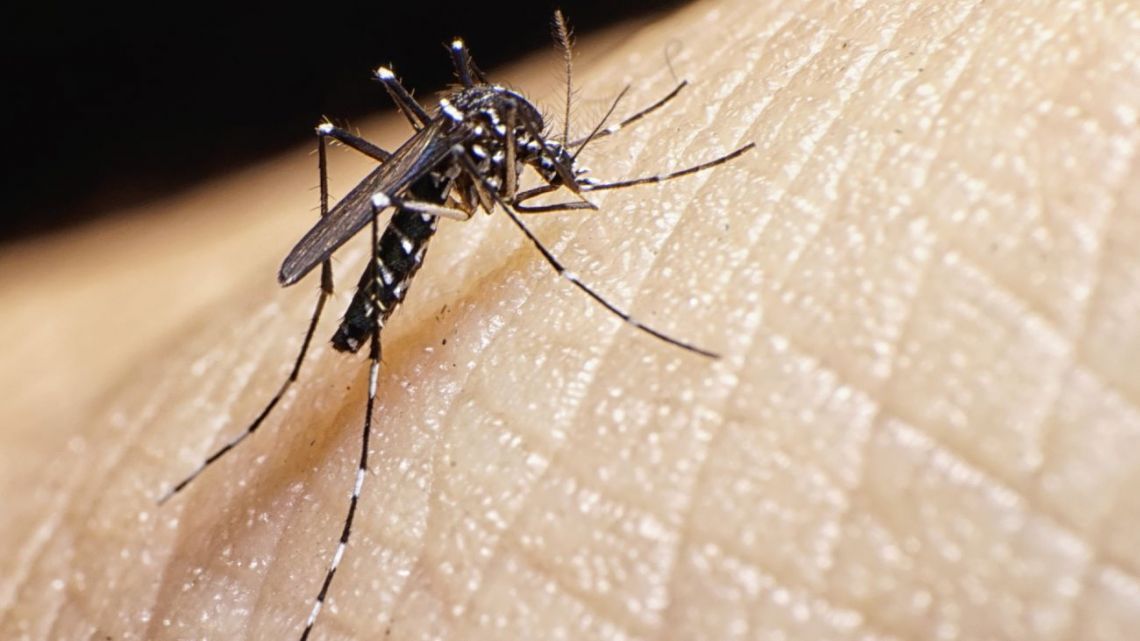 Confirman seis casos de dengue en Santa Fe