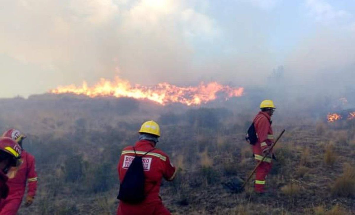 Ola de calor: cuidados para evitar incendios forestales