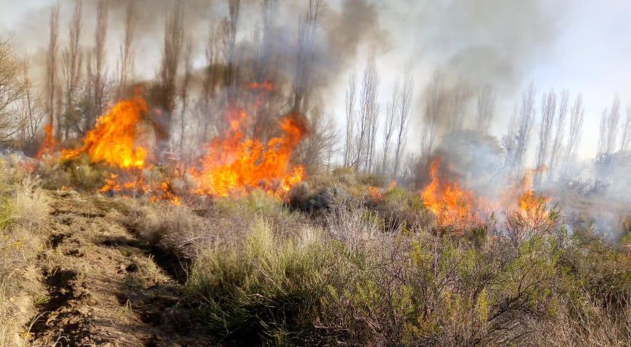 El límite entre San Rafael y San Carlos  entre las zonas más peligrosas  para incendios forestales