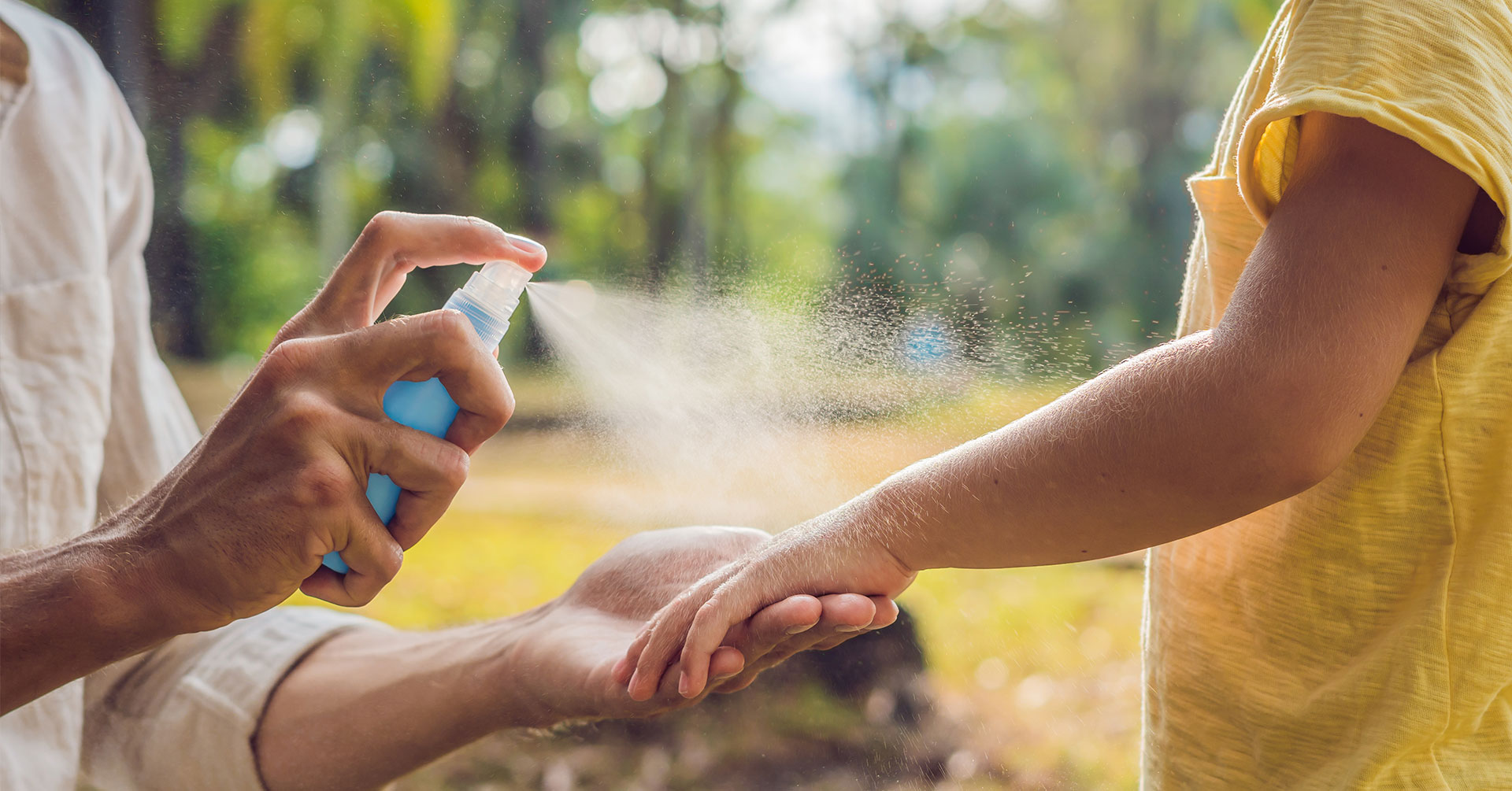 Cómo prevenir las  picaduras de mosquitos