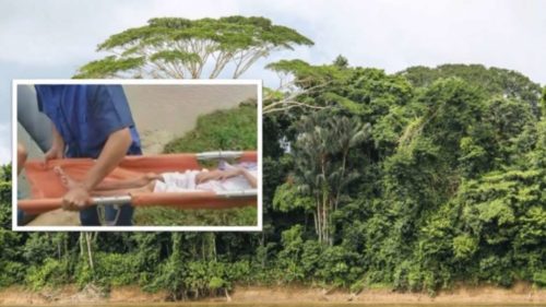 Una mujer y sus tres hijos se perdieron en el Amazonas y sobrevivieron durante 34 días a base de frutos silvestres