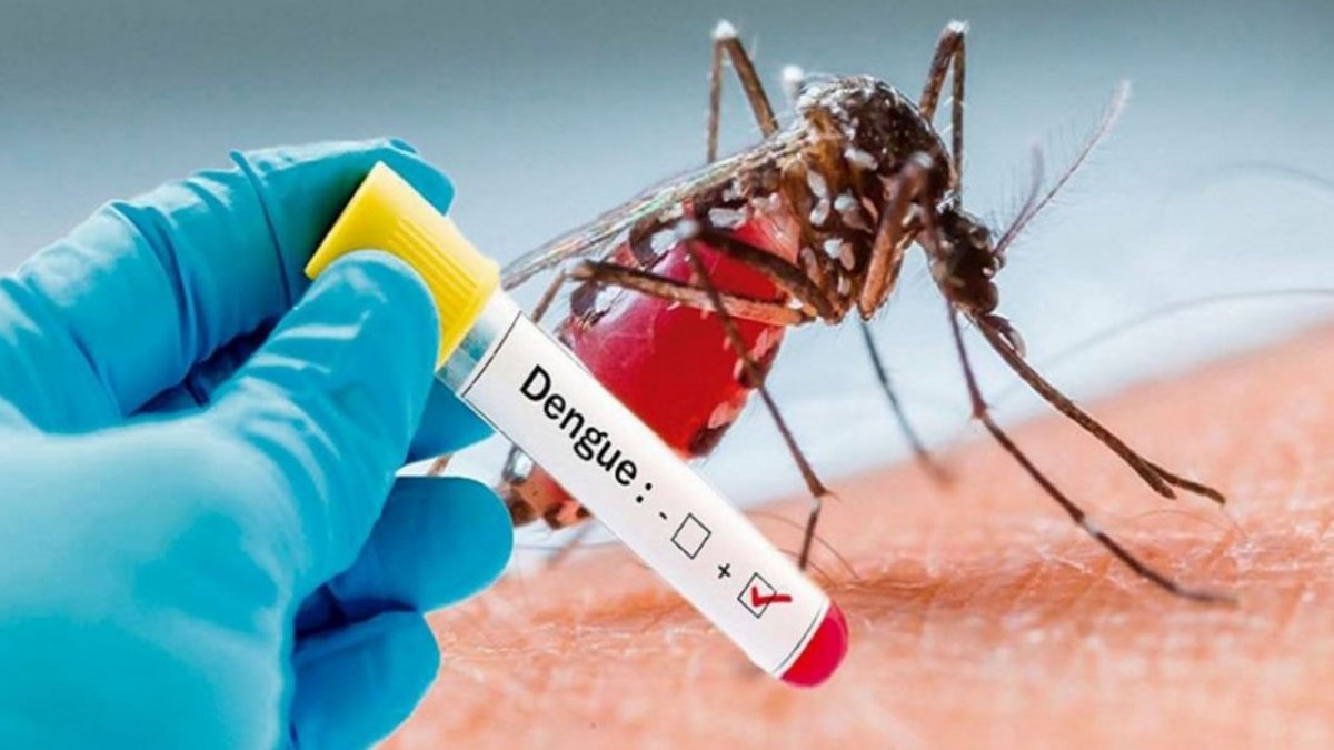 Preocupa el avance del dengue en el país