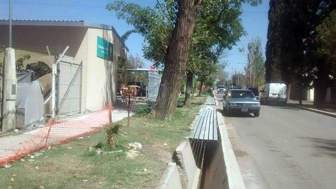 Reclaman por el estado de un árbol que daña el cableado eléctrico luego de cada tormenta