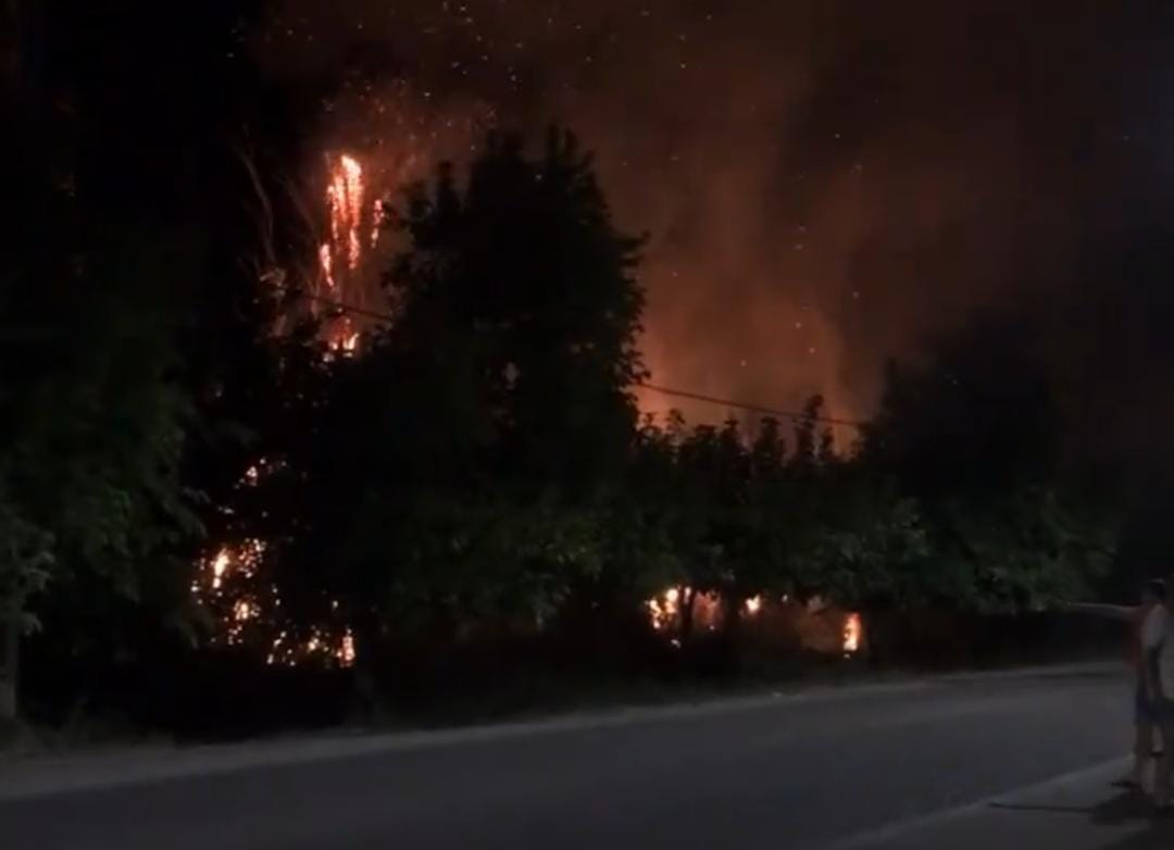 Video: incendio de pastizales generó preocupacion en vecinos de Dean Funes