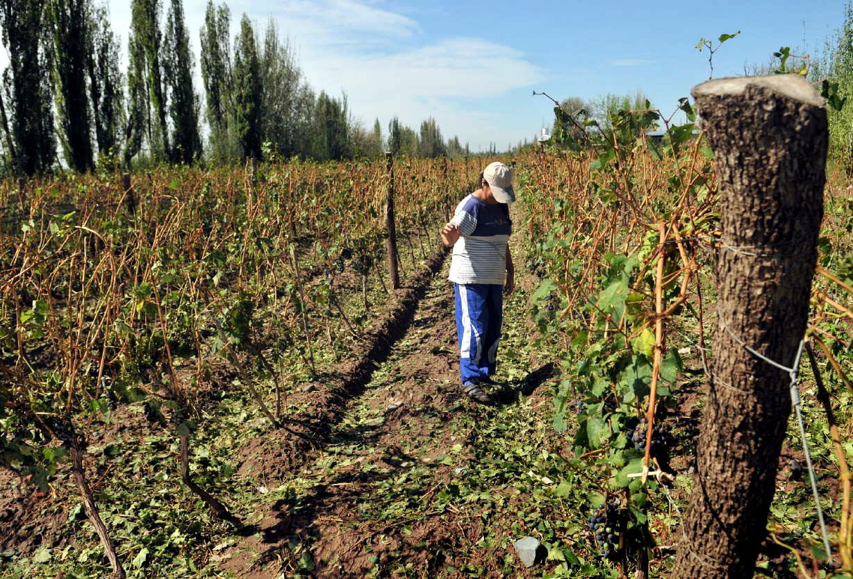 Productores del este sanrafaelino  preocupados por la falta de agua