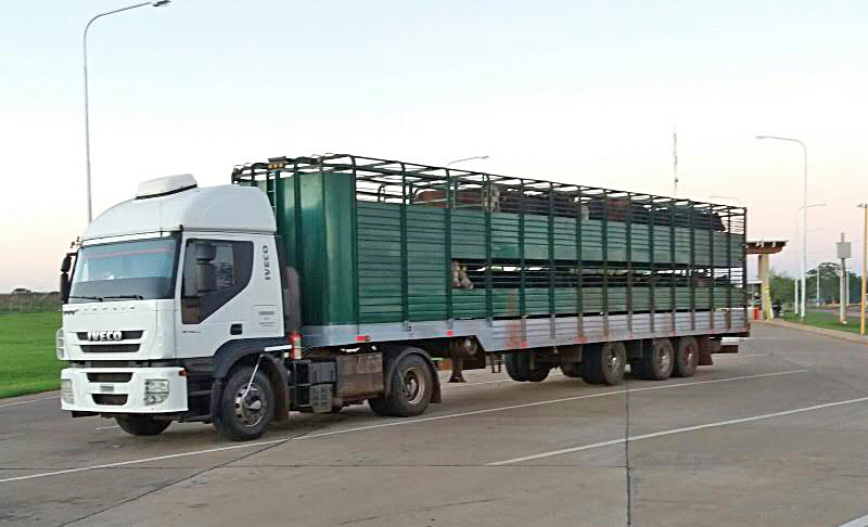 Piden una mejora en los caminos ganaderos  del Sur provincial