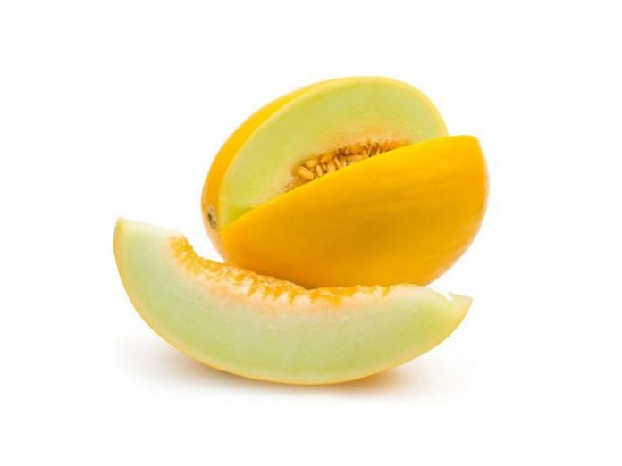 Cómo es el negocio del melón en Mendoza: Buenas posibilidades para invertir