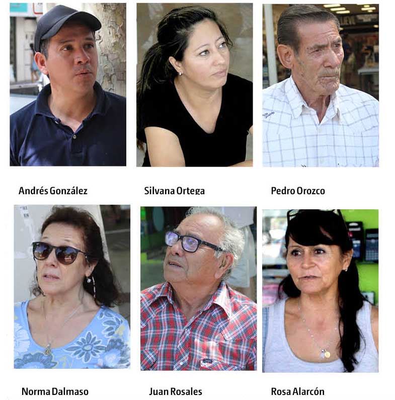 El estado en que se encuentra nuestro arbolado público