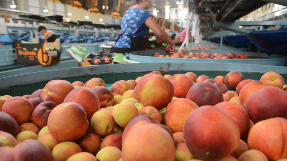 Advierten sobre grave crisis  en la industria de la alimentación