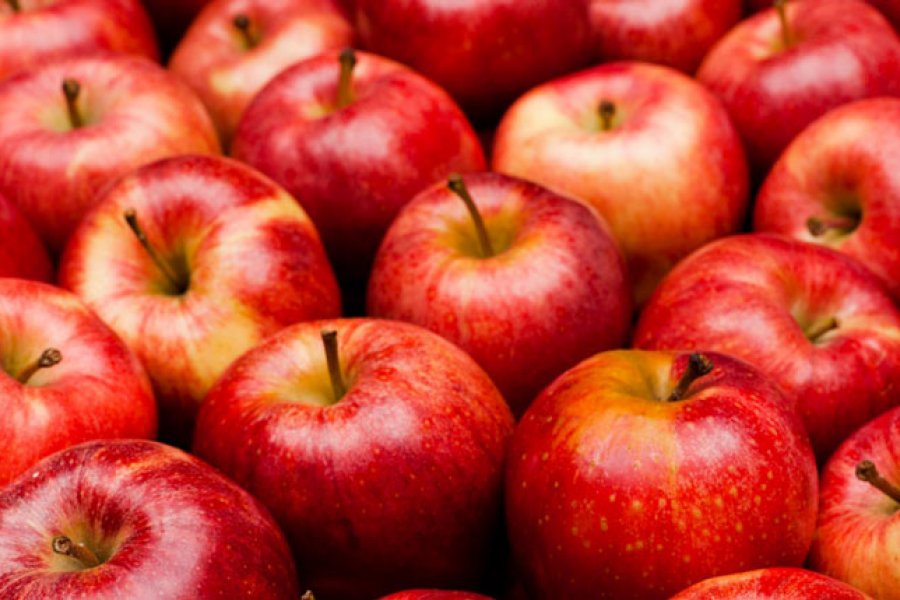 Turismo: piden no viajar con frutas a la Patagonia, San Juan o Mendoza