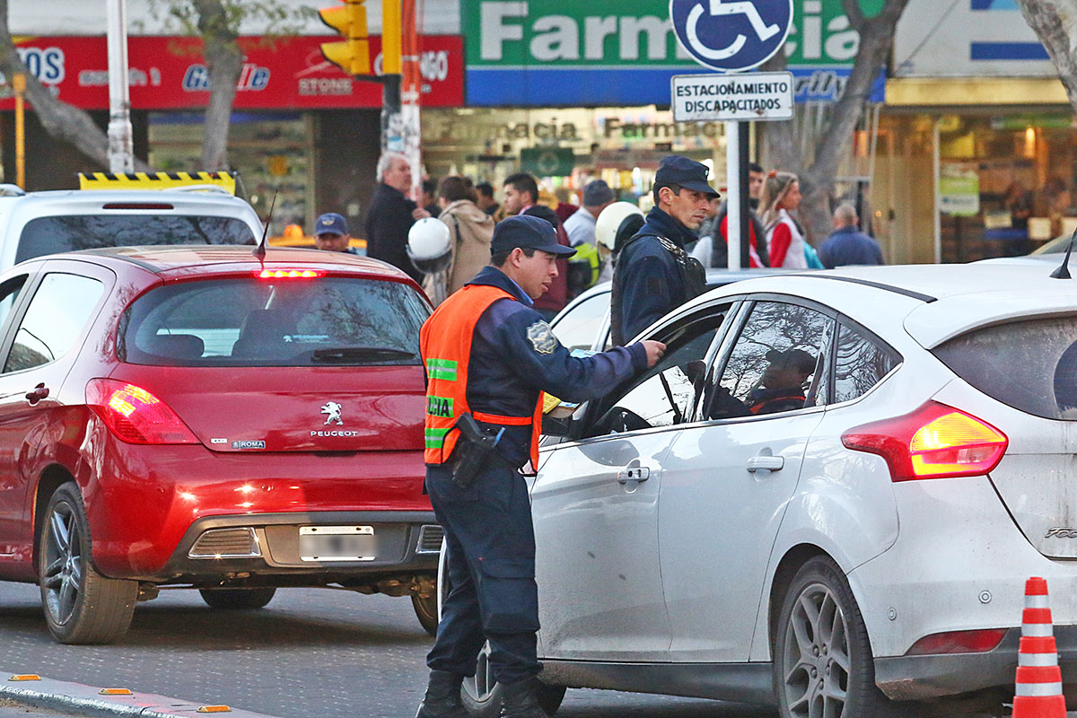 Volvieron a aparecer licencias de conducir “truchas”