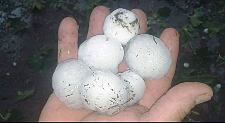 Granizo de gran tamaño afectó  zonas cultivadas  de varios distritos