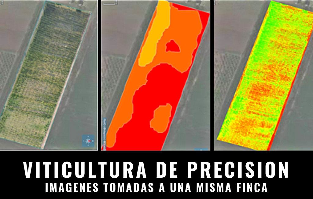 Presentaron las conclusiones de los  estudios de “viticultura de precisión”