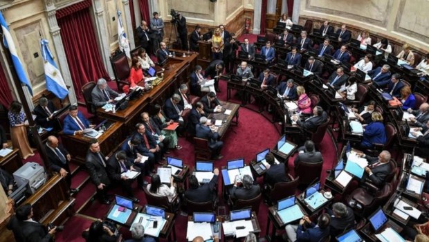 El Senado avanzará esta semana en la sanción de la reforma a las jubilaciones de privilegio