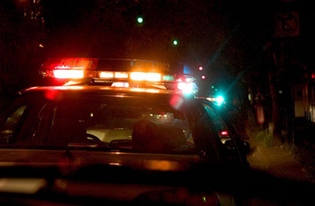 Robaron aparatos de electrónica, electrodomésticos e indumentaria en dos hechos