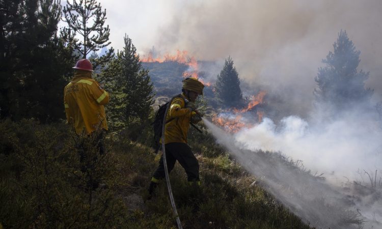 Patagonia: un incendio forestal en Bariloche arrasa varias hectáreas y está fuera de control