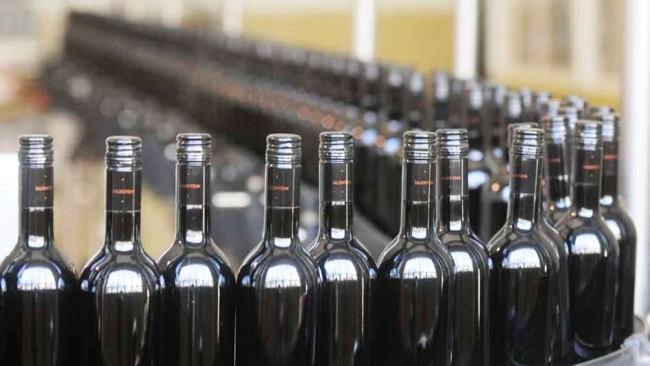 Buscan sumar la provincia de San Juan al Banco de Vino