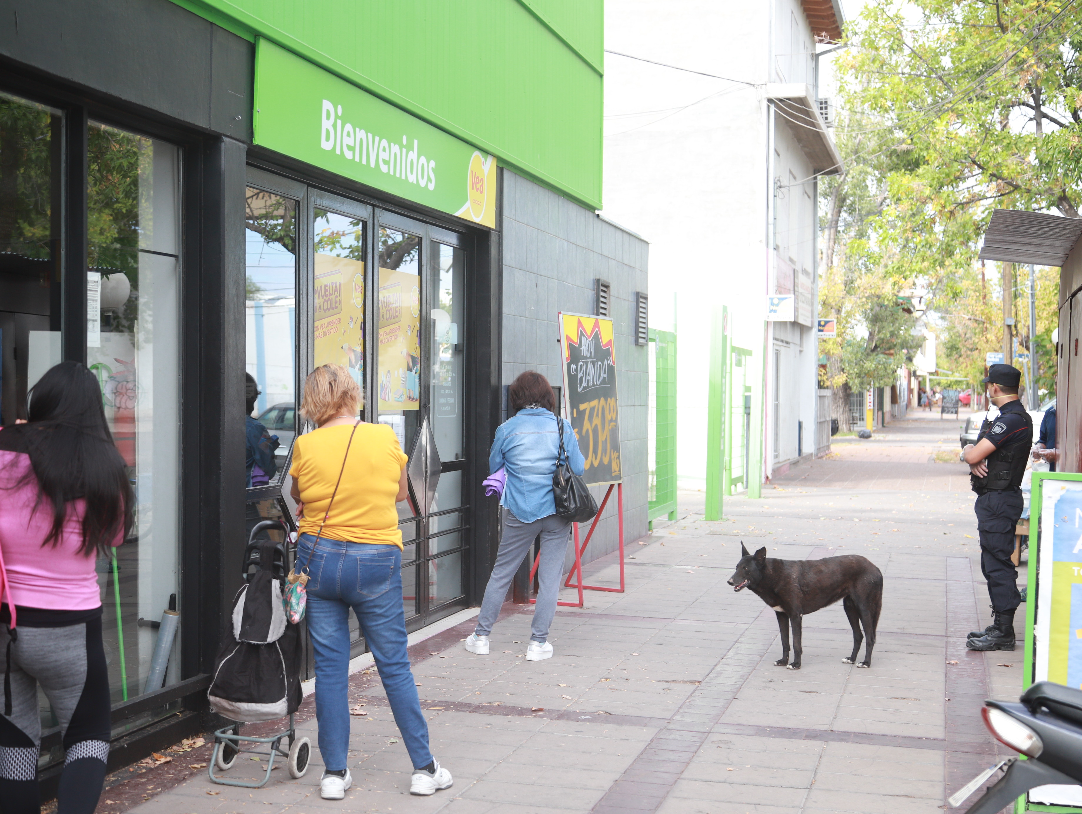 Asistencia ante casos  de violencia de género