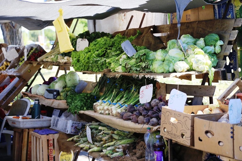 Robaron en un puesto comercial de Comerco