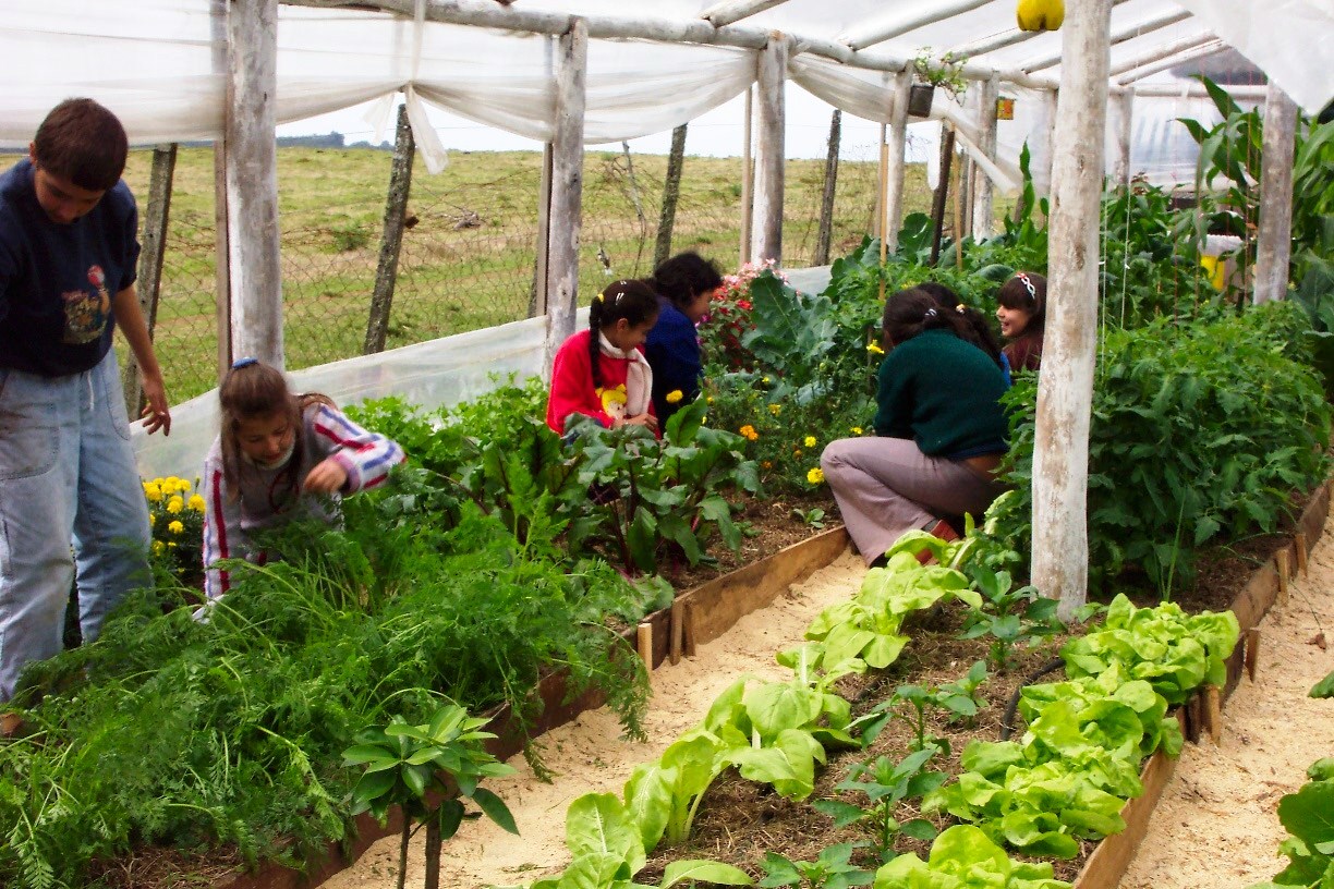 Proyectos de ProHuerta en Punta del Agua destacados a nivel nacional por el INTA
