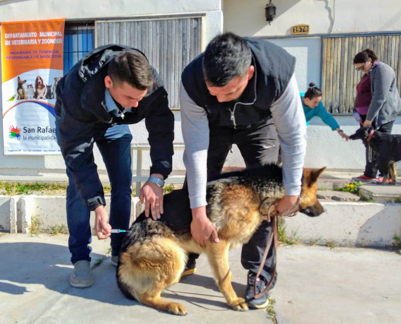 Vuelve la campaña  de vacunación  antirrábica a los  barrios y distritos