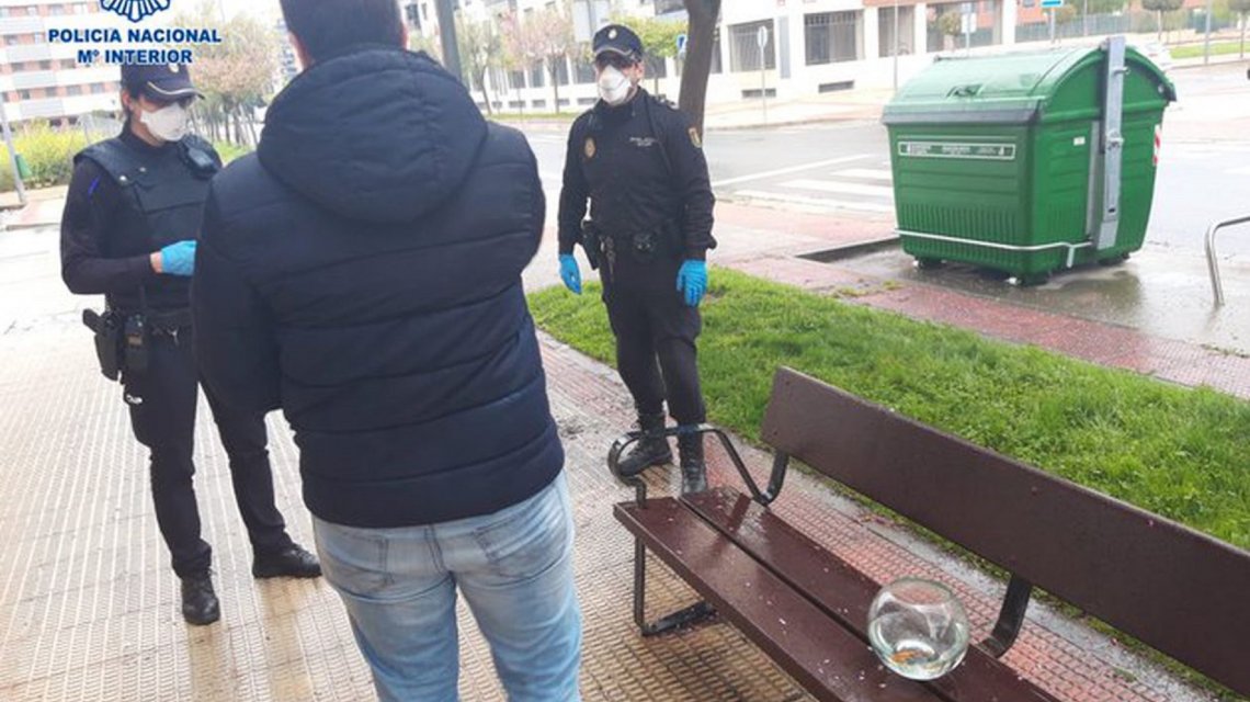 Coronavirus en España: rompió la cuarentena para sacar a pasear a sus peces a la calle