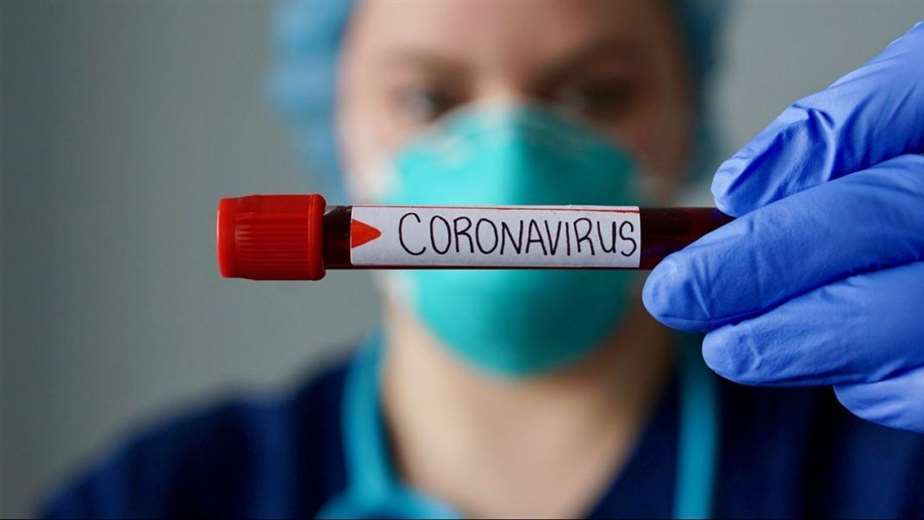 Científicas argentinas lograron un descubrimiento clave para conocer las caracrerísticas del “coronavirus argentino”
