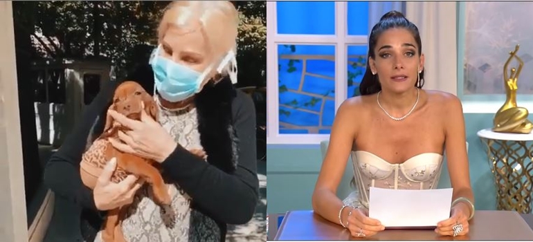 El contundente descargo de Juanita Viale, luego de que Susana Giménez «devolviese» a uno de sus perros: «Eso es inhumano»