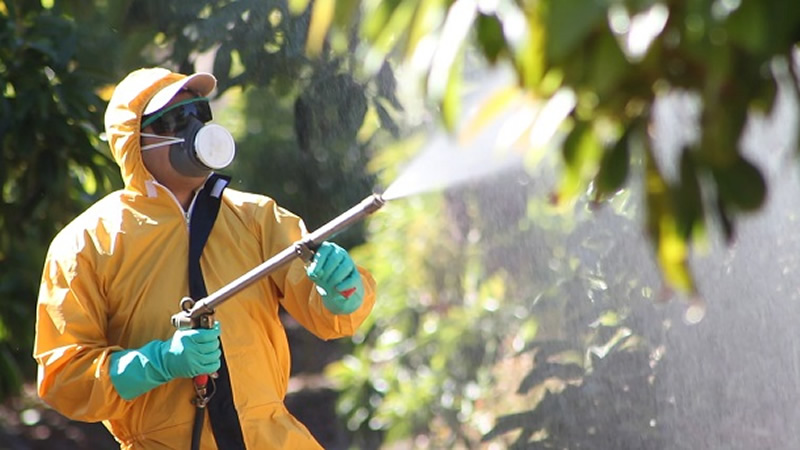 Pequeños productores se beneficiarán con créditos por un total de $1.120 millones para fertilizantes y agroquímicos