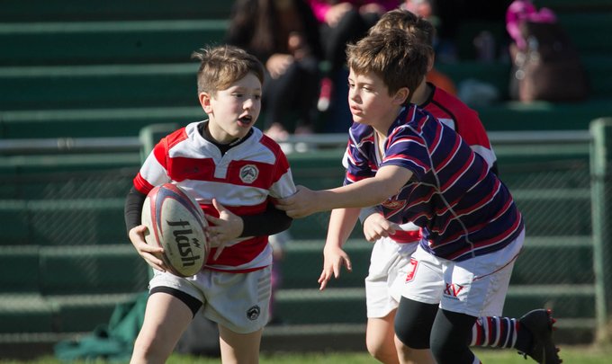 Inició la segunda tanda de cursos virtuales sobre rugby Infantil