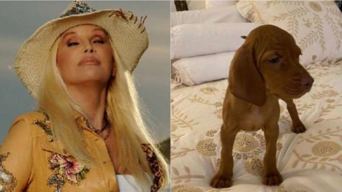 Susana Giménez devolvió a Rita, la perrita que había comprado