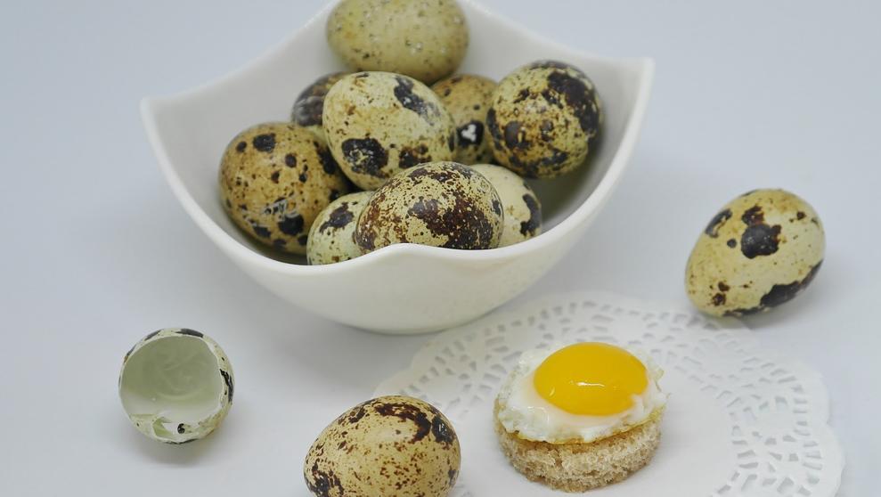 Una granja sanrafaelina  produce huevos de codorniz