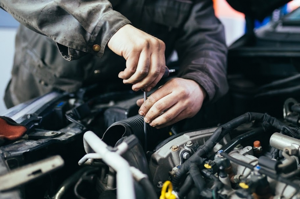 “No quiero abrir las puertas, no quiero arriesgarme a nada”