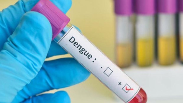 Más de 32.000 casos de dengue en Argentina y 24 muertes desde julio del año pasado