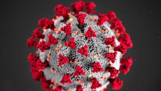 El coronavirus no da tregua y rompe récords en algunos de los países más poblados