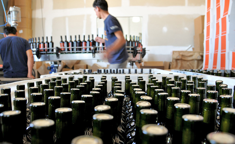 El sector el vino fue incluido en el Programa de Asistencia de Emergencia al Trabajo