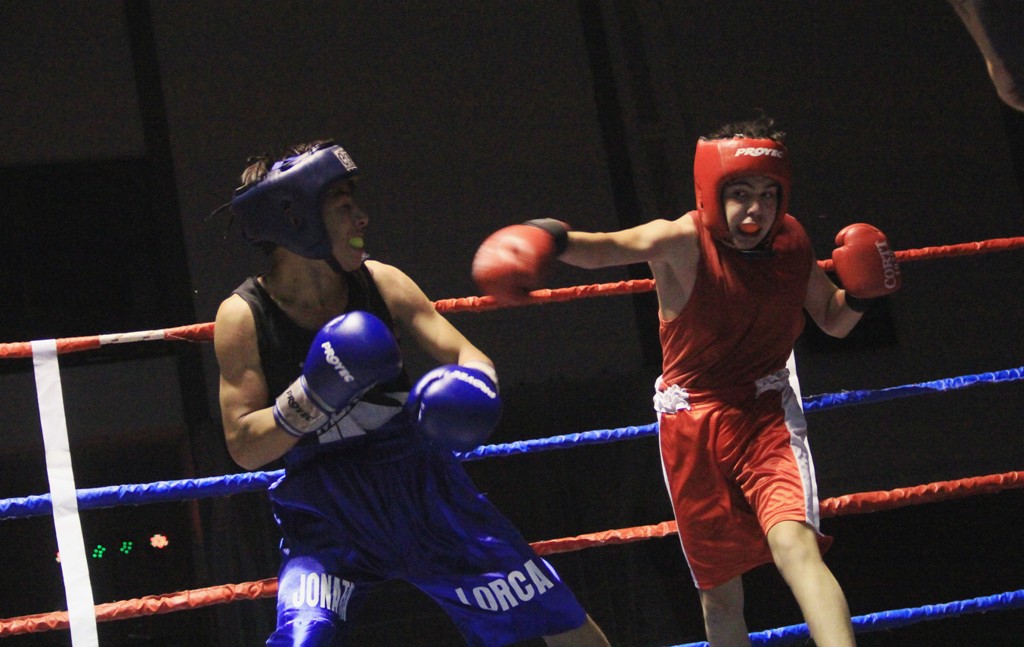 Se realizó una teleconferencia federal para el regreso del boxeo