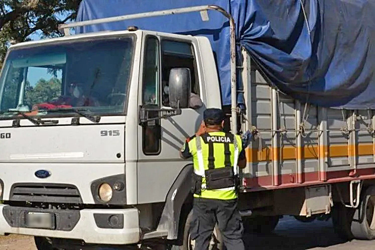 Estos son los controles que deben cumplir camioneros que ingresen a Mendoza