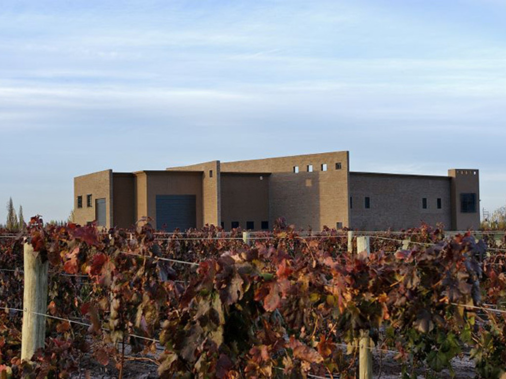 Cuál es la presencia de Vicentín en Mendoza