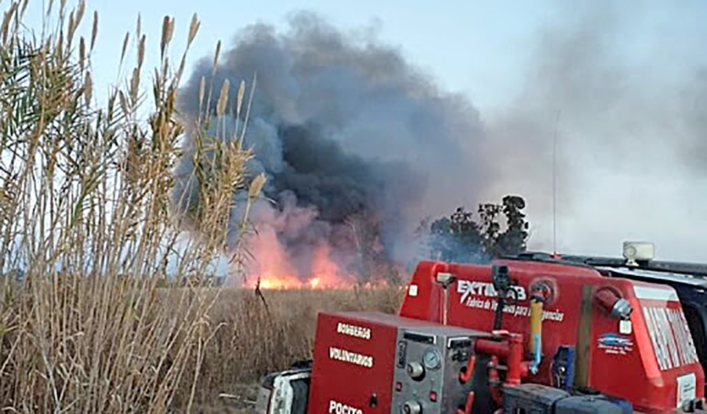 Bomberos tuvo 42  intervenciones en la  provincia por el Zonda